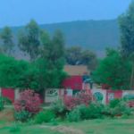 Government primary School
