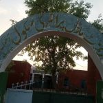 Govt girls primary school dhoke Hattar