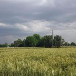 Siddiq Khan House