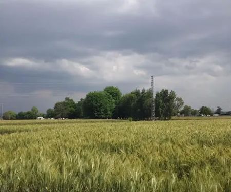 Siddiq Khan House