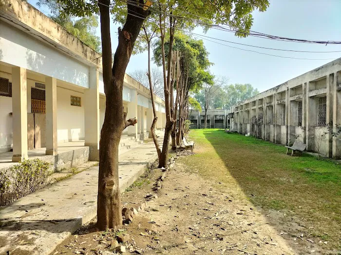 Govt. Shuja Khanzada Shaheed Associate College Hazro, Attock Picture 7