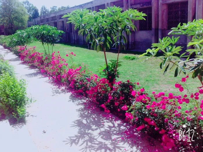 Govt. Shuja Khanzada Shaheed Associate College Hazro, Attock Picture 5