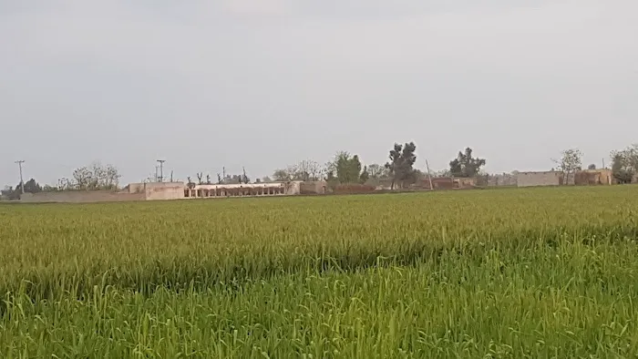 Govt. Shuja Khanzada Shaheed Associate College Hazro, Attock Picture 1