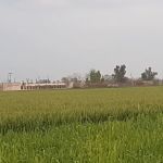 Govt. Shuja Khanzada Shaheed Associate College Hazro, Attock