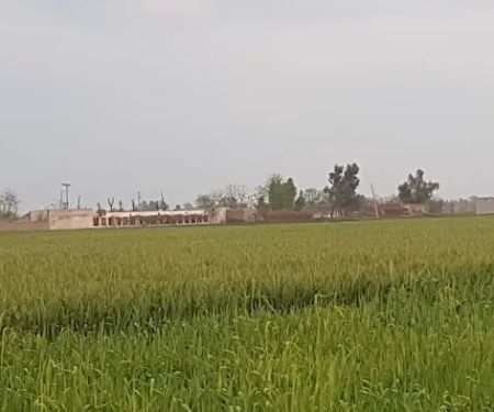 Govt. Shuja Khanzada Shaheed Associate College Hazro, Attock