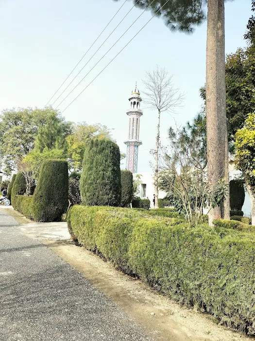 Govt. Shuja Khanzada Shaheed Associate College Hazro, Attock Picture 9