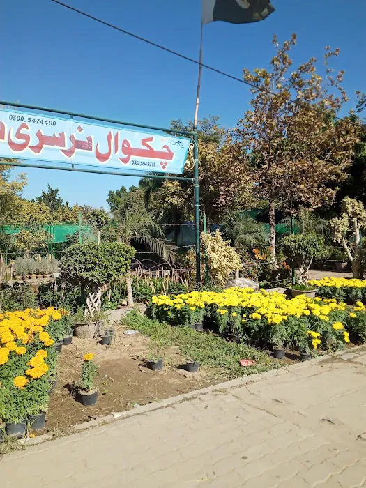 Cadet College Chakwal For Boys Picture 2