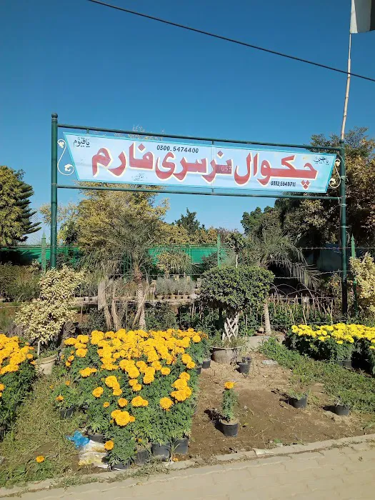 Cadet College Chakwal For Boys Picture 1