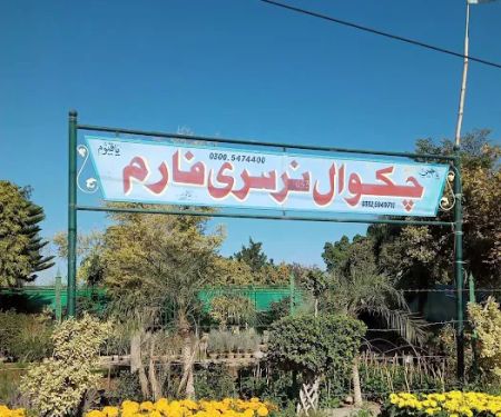 Cadet College Chakwal For Boys