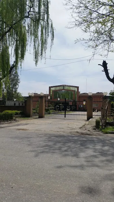 College of Physicians and Surgeons Pakistan, Regional Centre Abbottabad Picture 10