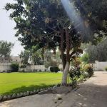 University of Technology, Nowshera