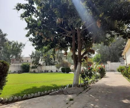 University of Technology, Nowshera