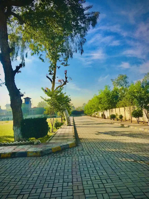 University of Technology, Nowshera Picture 9