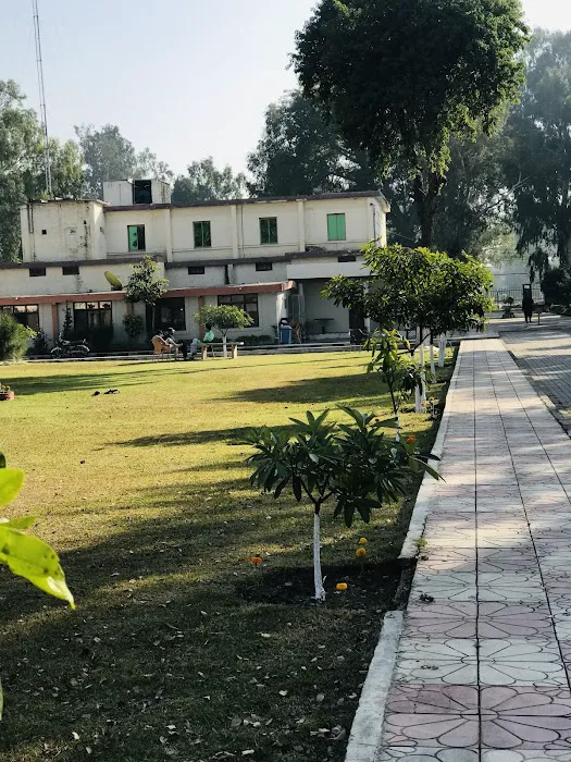University of Technology, Nowshera Picture 7