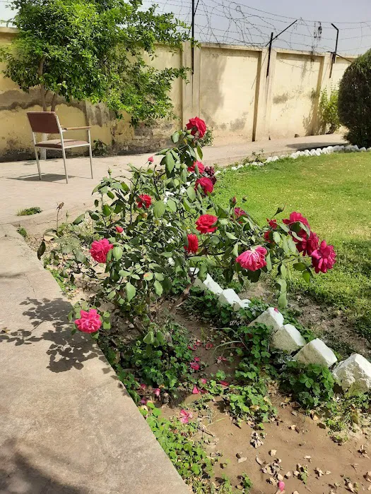 University of Technology, Nowshera Picture 5