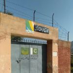 Government Primary School Jabba Khattak
