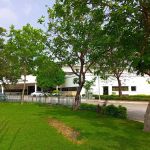 Faculty of Materials and Chemical Engineering, GIKI