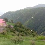 Govt Primary School Danna Aliabad
