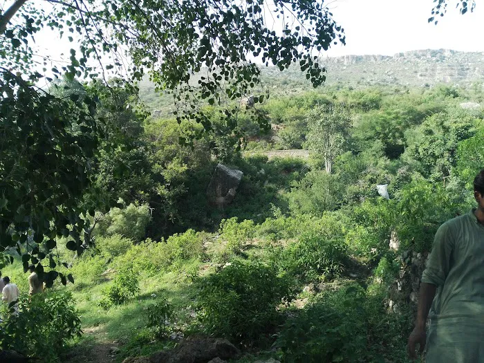 Government Associate College for women Chakwal Picture 7
