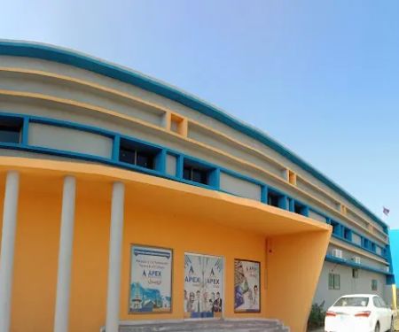 Apex College Gojra Campus