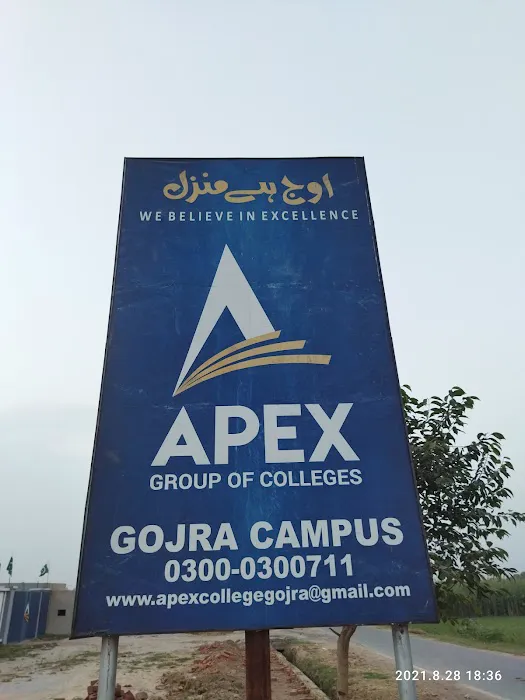 Apex College Gojra Campus Picture 8