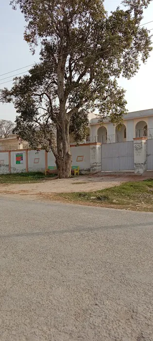Govt. Degree For Woman Kuhtiala Sheikhan Mandi Bahauddin Picture 3