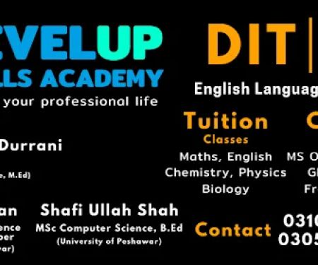 LevelUp Skills Academy