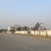 Muslim college and University ico