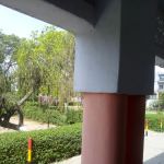 Government Islamia High School Dhoria (Boys)