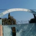 Elementary College For Women