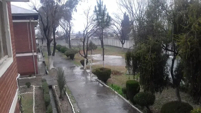 Government Polytechnic Institute Mansehra Picture 4