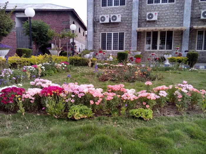 Govt College of Management Sciences Mansehra Picture 4