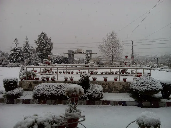 Govt College of Management Sciences Mansehra Picture 7