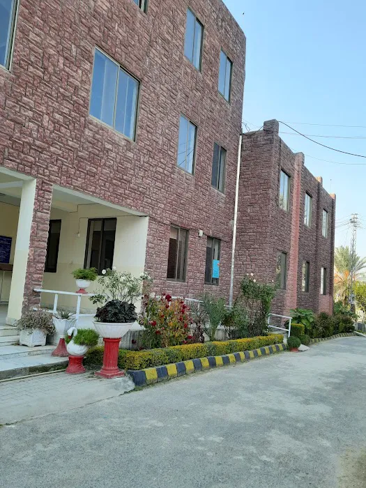 Govt College of Management Sciences Mansehra Picture 6