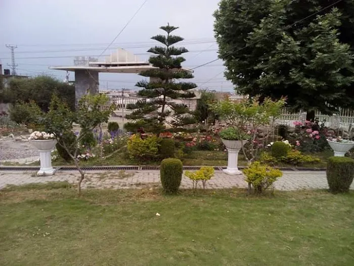 Govt College of Management Sciences Mansehra Picture 8