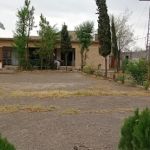 Govt. High School Jabba Khushk NSR