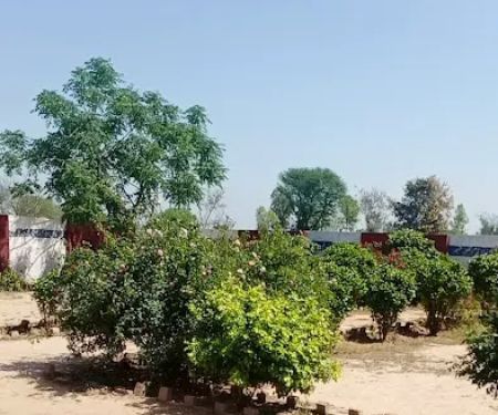 GMPS Kotli Masnani (Main Campus)