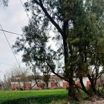 Government primary school girls مشن خیل