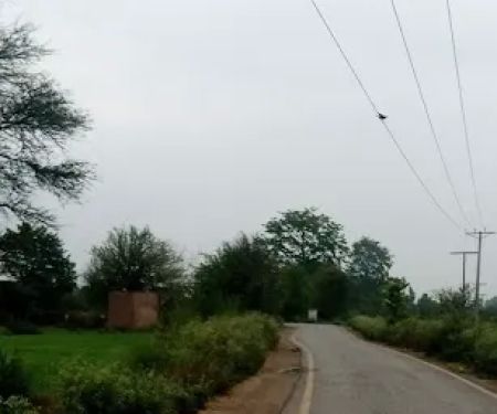GPS Verowal