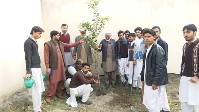 Govt. Higher Secondary School Ghari Yaqoob Khan Picture 1