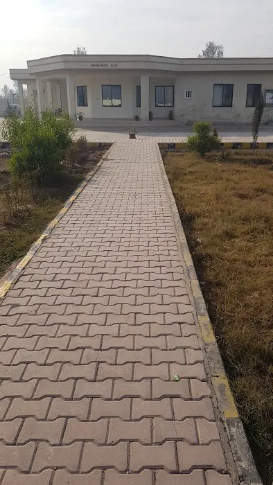 Govt Degree College Akbar Pura, Nowshera Picture 7