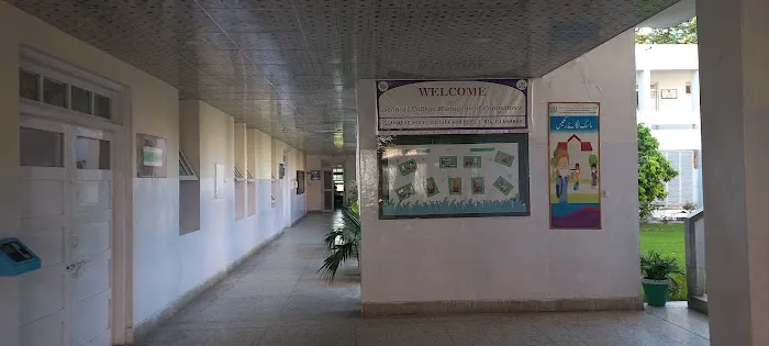 Islamabad Model College for Boys F-8/4 Picture 9