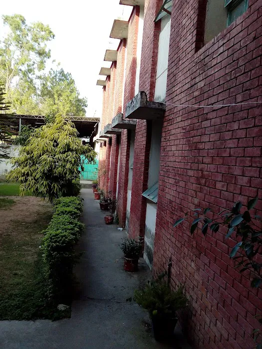 Islamabad Model College for Boys F-8/4 Picture 3