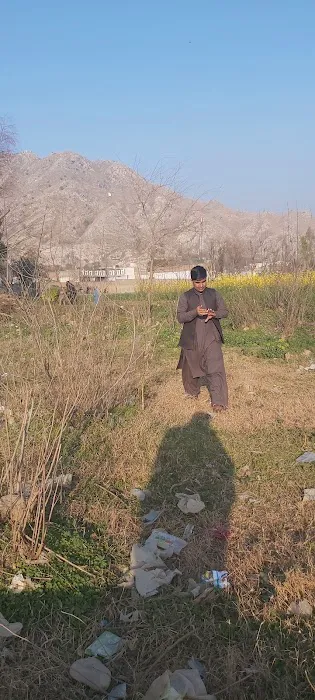 Govt Girls Degree College Maneri bala shagai Picture 4