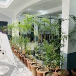 Al Madina Model School