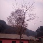 Govt Model Primary School Qalandarabad