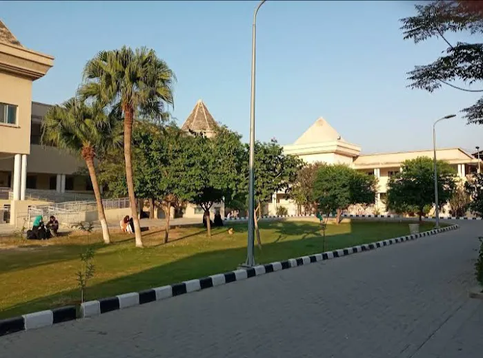 Fatima Jinnah Women University - City Campus Picture 2