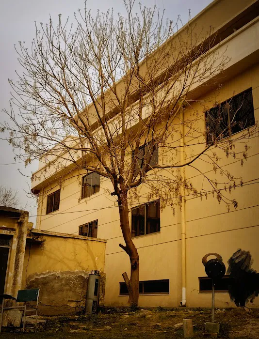 Fatima Jinnah Women University - City Campus Picture 6