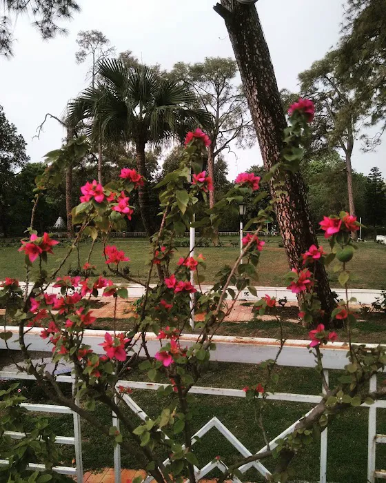 Fatima Jinnah Women University - City Campus Picture 8