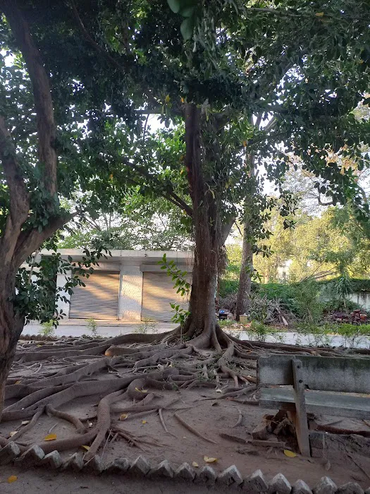 Fatima Jinnah Women University - City Campus Picture 1